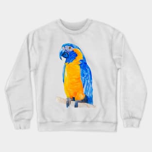 blue throated macaw parrot bresil watercolor art print Crewneck Sweatshirt